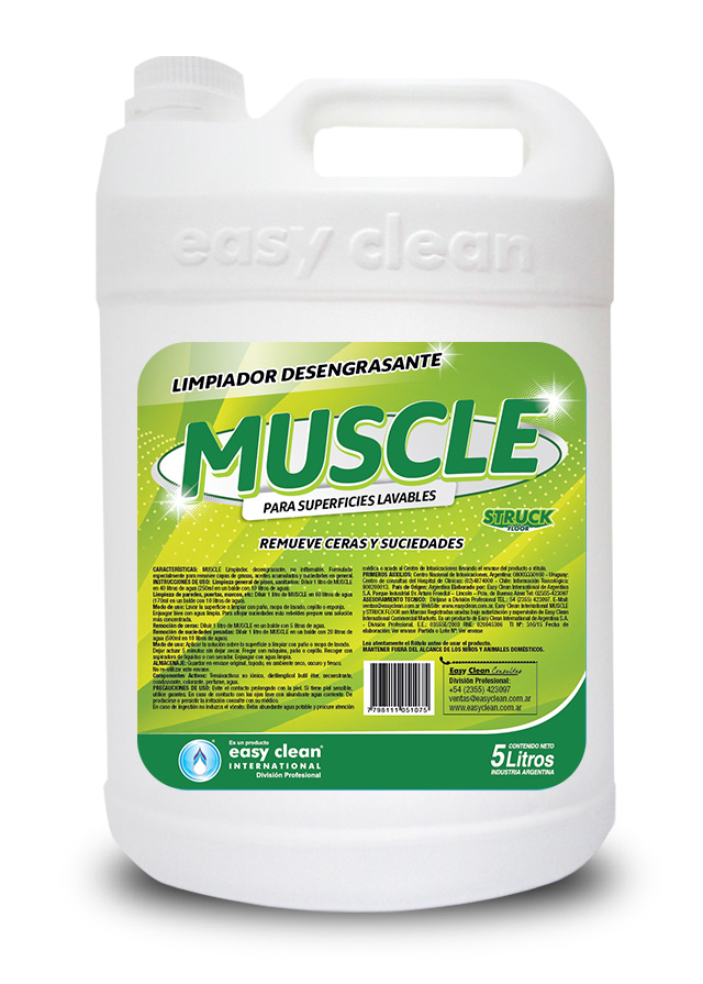 muscle