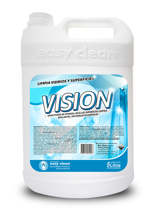 vision